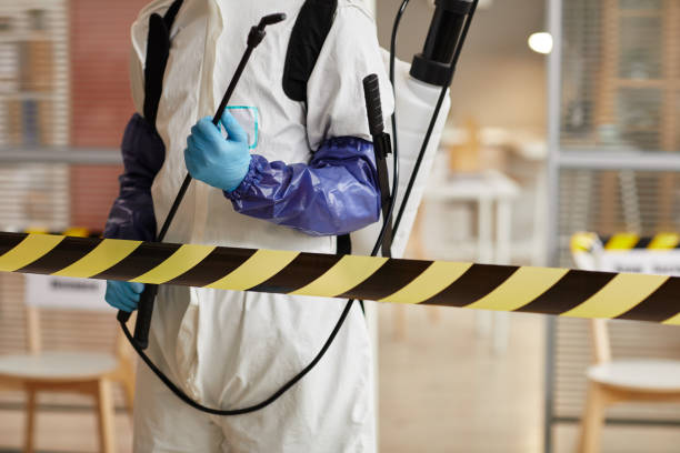 Professional Sewage Cleanup technician working in Comstock, NE